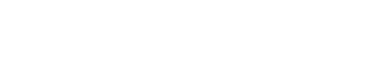 495 Digital